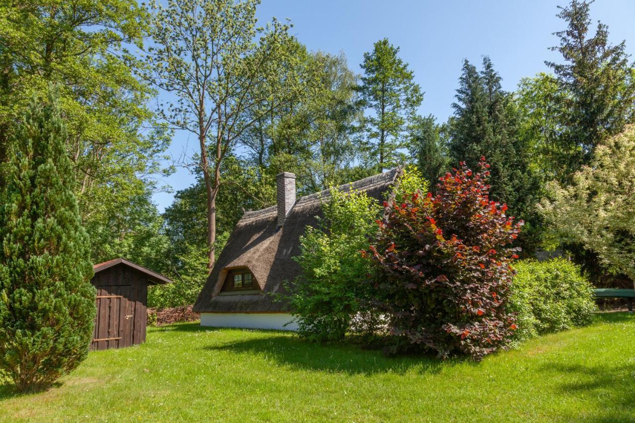 Ferienhaus Auf Der Kauperinsel 布尔格 外观 照片